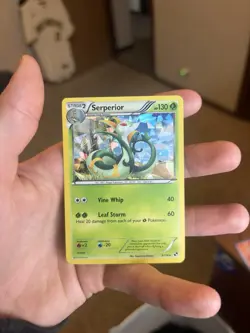 Pokemon Serperior 5/114 Black & White Cracked Ice Holo Rare LP - Image 1
