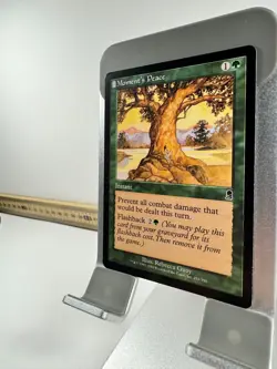 Magic: The Gathering - Moment's Peace (Odyssey) #251 Common - Excellent Cond. - Image 3