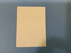 MTG Magic Grand Abolisher Signed #SS Proof x1 Commander 2014 C14 Eric Deschamps - Image 2