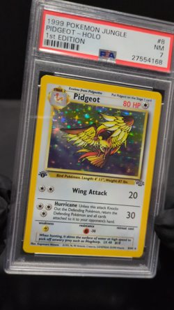 Pidgeot - 8/64 - Jungle Set - 1st Edition Holo - PSA 7 - Pokemon Card - Image 2
