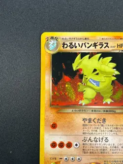 [NM] Dark Tyranitar Pokemon Card Japanese No.248 Neo Destiny Vintage Holo 7D25 - Image 4