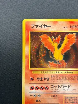 [NM] Moltres Pokemon Card Japanese No.146 Holo Fossil Set 1996 7D7 - Image 4