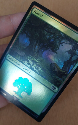 Forest (271) Foil Magic the Gathering card - Image 1