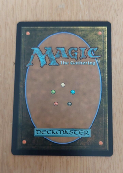 Forest (271) Foil Magic the Gathering card - Image 3