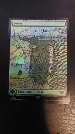Forest (280) Lord of the Rings Foil Magic the Gathering card - Image 2