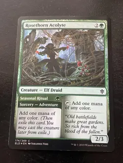 Rosethorn Acolyte Throne of Eldraine Magic The Gathering #174 Common - Image 1