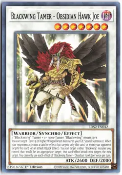 Yugioh - Blackwing Tamer - Obsidian Hawk Joe LDS2-EN042 1st Edition - Legendary - Image 1