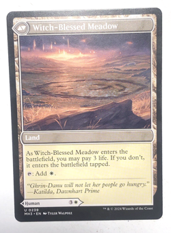 Witch Enchanter Witch-Blessed Meadow 239 Modern Horizons 3 MTG Magic NM - Image 2