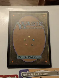 MTG Edge Of Eternities GROVE OF THE BURNWILLOWS Borderless Foil NM - Image 2