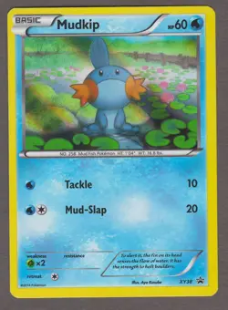 Mudkip XY38 Black Star Promo - Holo - Pokemon Card XY 2014 NM - Image 1