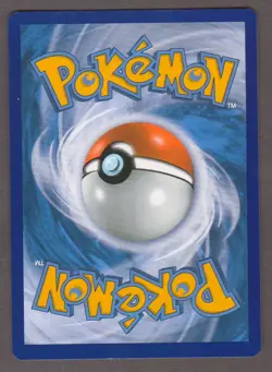 Mudkip XY38 Black Star Promo - Holo - Pokemon Card XY 2014 NM - Image 2