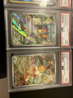Pokemon TCG PSA Slab Lot 6 PSA Graded Cards Charmander Eevee Charizard - Image 3