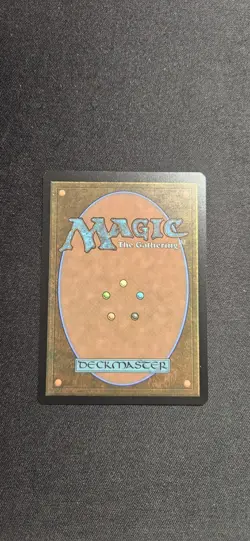 Pariah's Shield (Retro Frame) Ravnica Remastered Foil - Image 2