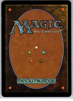 MTG Soul Warden Magic 2010 (M10) LP Lifegain Cleric - Image 4