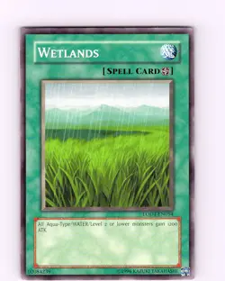 Yu-Gi-Oh TCG Wetlands LODT-EN054 Unlimited Common Card Played LP - Image 1