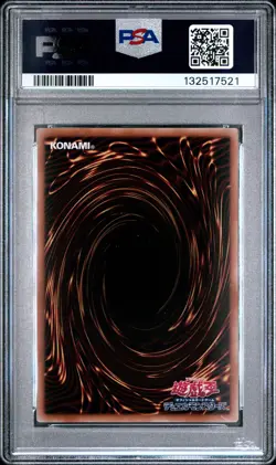 2025 YU-GI-OH! 711E #JP002 DARK MAGICIAN GIRL PSA 10 - Image 2
