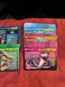 Weird N' Wild Creatures Large Knowledge Index Cards - Multiple Categories LOT - Image 3