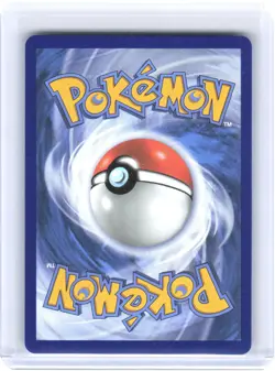 2025 Pokemon Oricorio ex #024 Mega Evolution Promos Black Star Promo Holo - Image 2