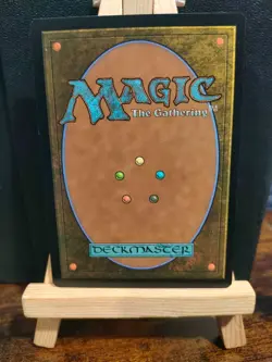 Yasharn, Implacable Earth - Zendikar Rising - Rare - NM (see pics) MTG - Image 2