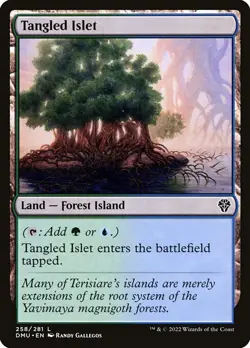 LP Foil Tangled Islet, MTG, Dominaria United, Magic the Gathering, 258 - Image 1