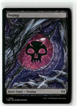 Swamp 0289 - Tarkir Dragonstorm MTG NM - Image 1