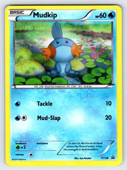 Mudkip XY38 Black Star Promo Pokemon Card TCG Nintendo Holo Rare Exclusive Lp/Mp - Image 1