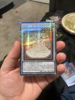 Yugioh Garden Rose Maiden DOOD-EN101 Starlight Rare 1st Edition NM - Image 2