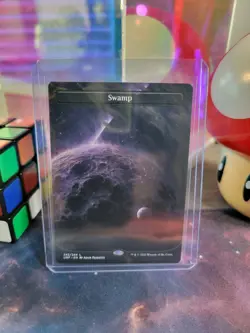 Swamp 242 (Borderless) Magic The Gathering Unfinity Regular Land NM - Image 1