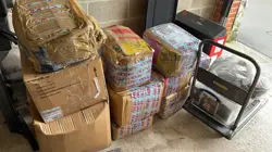 100 UNSORTED MTG CARDS BULK JOB LOT - MAGIC THE GATHERING CARDS C, U/C HOLOS - Image 3