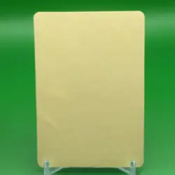 Pikachu BANDAI Pokemon Card Game TCG Japanese Japan Nintendo Anime F/S - Image 5