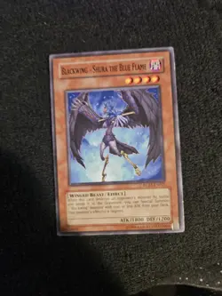 Blackwing - Shura the Blue Flame - RGBT-EN011 - Common - Yugioh - Image 1