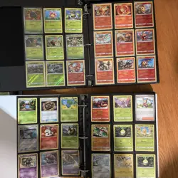 Insane Personal Pokemon Collection Thousands of Cards English/ Japanese/Chinese - Image 3