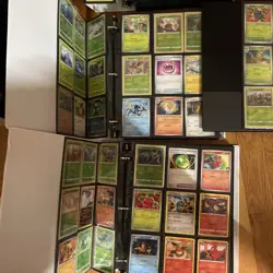 Insane Personal Pokemon Collection Thousands of Cards English/ Japanese/Chinese - Image 5