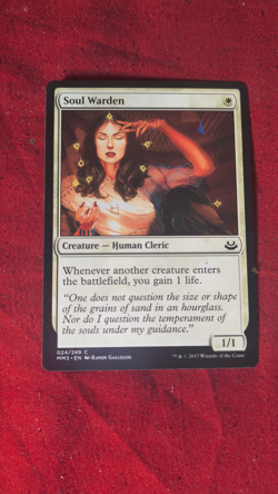 MTG Soul Warden - Modern Masters 2017 (MM3) - Image 1