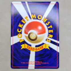 Pokemon TCG Neo Revelation Raikou Holo Rare No. 243 (Japanese) LP Lightly Played - Image 2