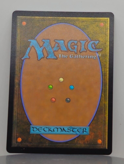 Foil - Undead Gladiator - Dominaria Remastered - DMR - 105/261 - MTG - Image 2