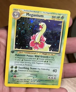 2000 Pokemon TCG Meganium 11/111 1st Edition Neo Genesis Holo Rare w/Swirl NM - Image 1