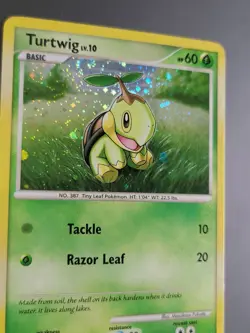 Turtwig - DP01 - Holo Promo Pokemon Diamond & Pearl Pokemon 2007 MP - Image 2