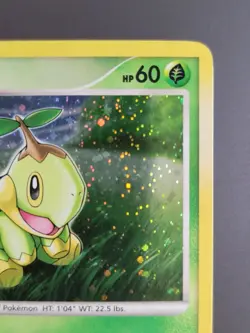 Turtwig - DP01 - Holo Promo Pokemon Diamond & Pearl Pokemon 2007 MP - Image 4