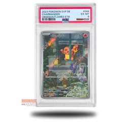 Glumanda - Top Trainer Box Promo - Obsidianflammen - PSA 6 - Pokemon Deutsch - Image 1