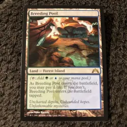 MTG Breeding Pool Gatecrash 240/249 Regular Rare - Image 1