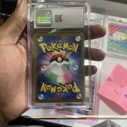 CGC 10 Mightyena 072/067 CHR Character Rare Battle Region s9a Pokemon - Image 2