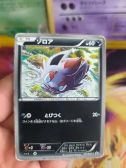 Pokemon Karte Card Zorua Uniq Shirt Campaign BW Promo Black Star japanese LP - Image 2