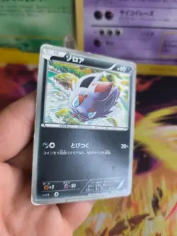 Pokemon Karte Card Zorua Uniq Shirt Campaign BW Promo Black Star japanese LP - Image 5