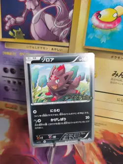 Pokemon Karte Card Zorua BW Promo Black Star Stamp Black White japanese NM- - Image 1