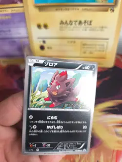 Pokemon Karte Card Zorua BW Promo Black Star Stamp Black White japanese NM- - Image 2