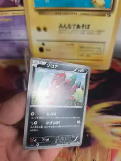 Pokemon Karte Card Zorua BW Promo Black Star Stamp Black White japanese NM- - Image 3