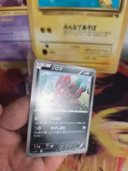Pokemon Karte Card Zorua BW Promo Black Star Stamp Black White japanese NM- - Image 4