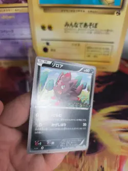 Pokemon Karte Card Zorua BW Promo Black Star Stamp Black White japanese NM- - Image 5