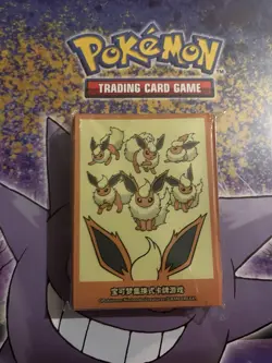Pokemon Chinese Flareon Sleeve Sets (64 Pieces Each) Sealed From Eevee Box - Image 1